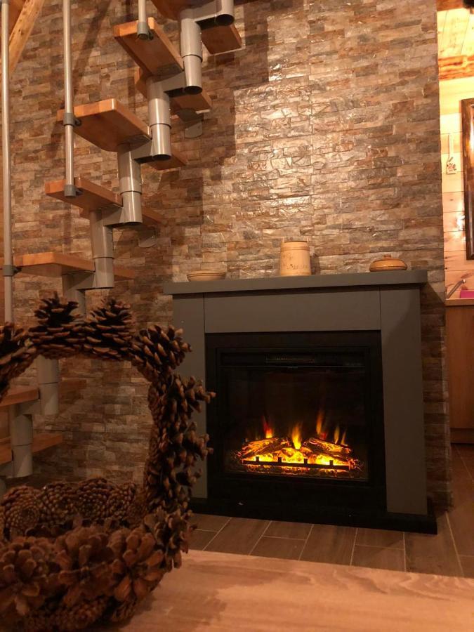 Žabljak Mountain House Drveni Rajヴィラ エクステリア 写真