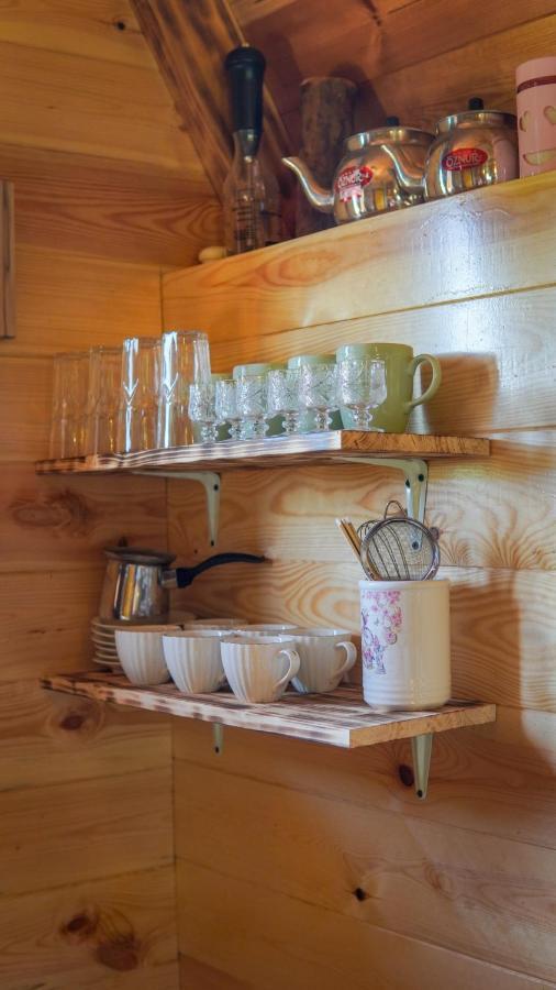 Žabljak Mountain House Drveni Rajヴィラ エクステリア 写真