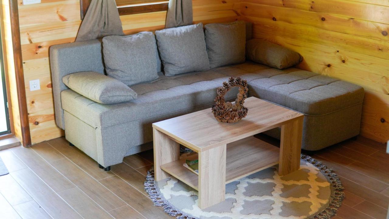 Žabljak Mountain House Drveni Rajヴィラ エクステリア 写真