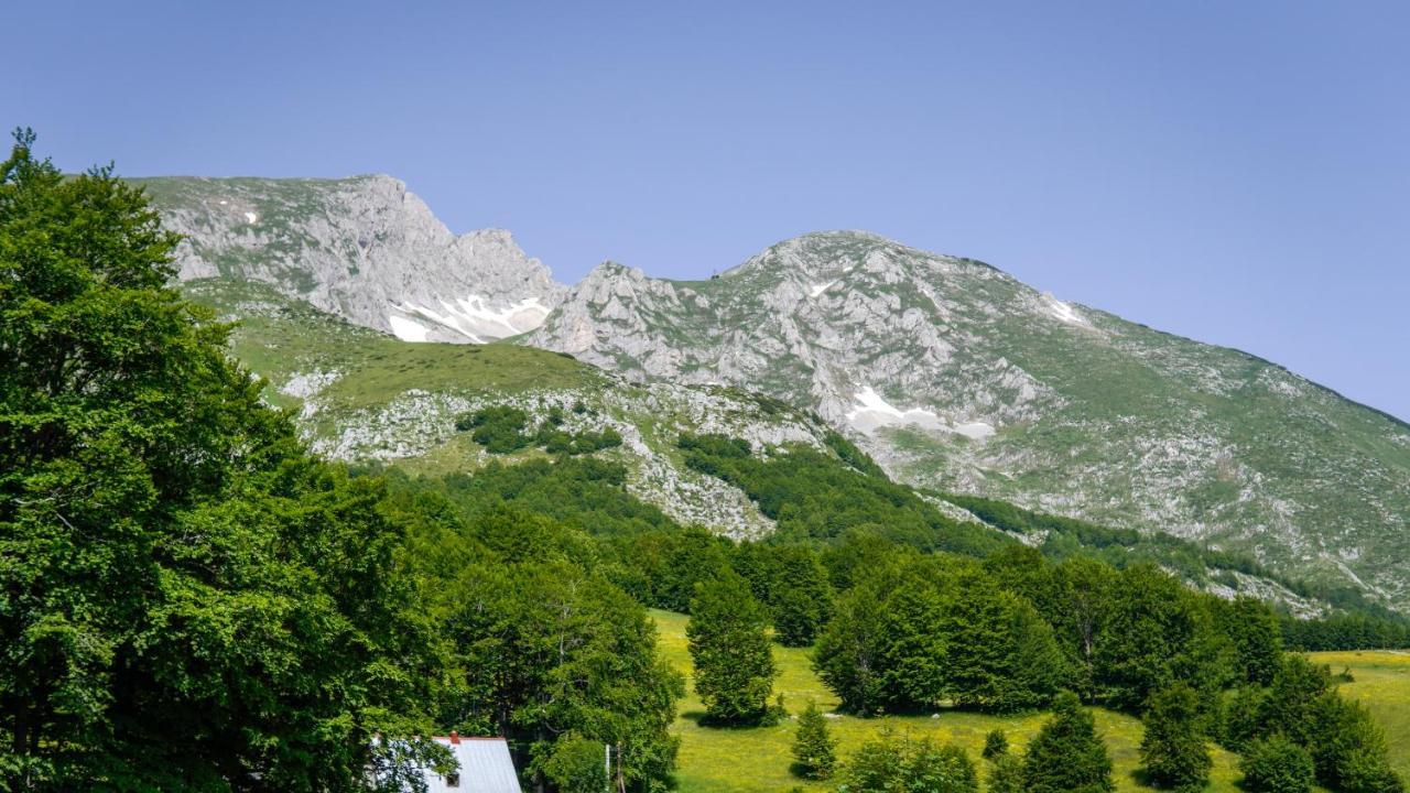 Žabljak Mountain House Drveni Rajヴィラ エクステリア 写真