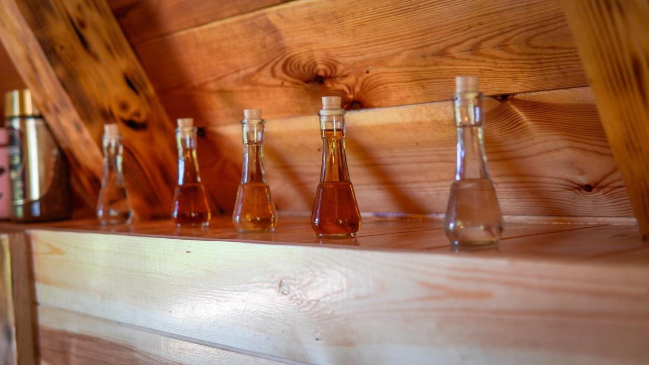 Žabljak Mountain House Drveni Rajヴィラ エクステリア 写真