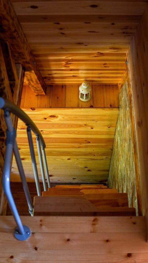 Žabljak Mountain House Drveni Rajヴィラ エクステリア 写真