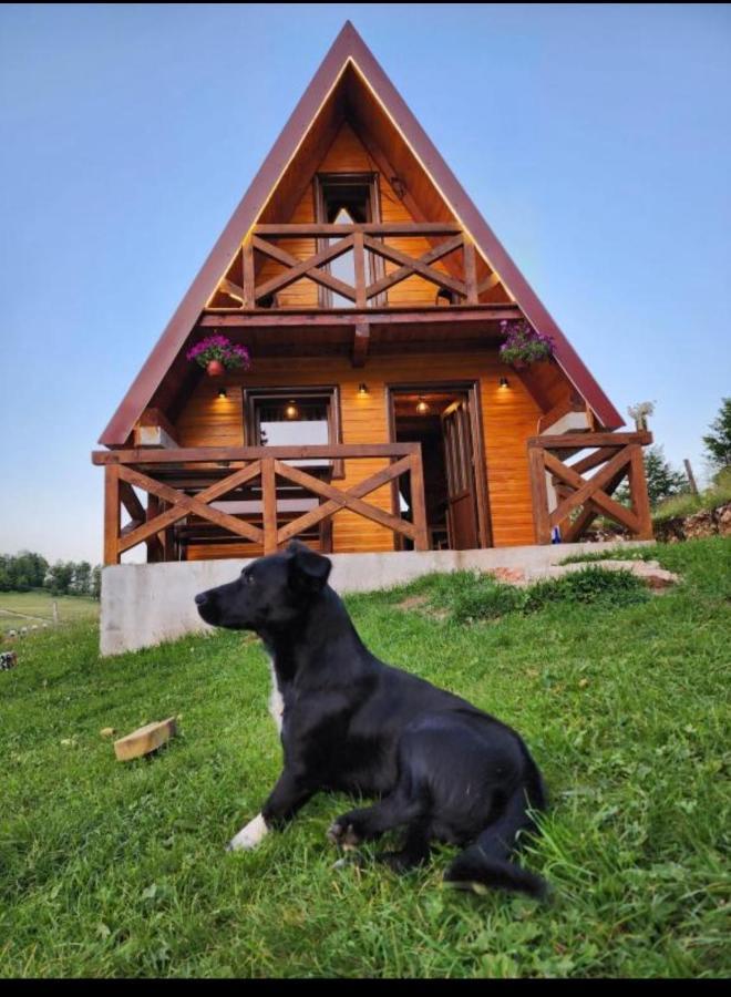 Žabljak Mountain House Drveni Rajヴィラ エクステリア 写真