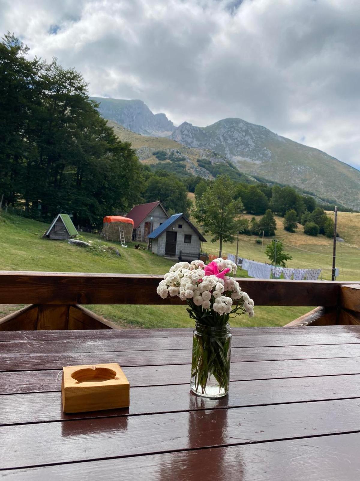 Žabljak Mountain House Drveni Rajヴィラ エクステリア 写真