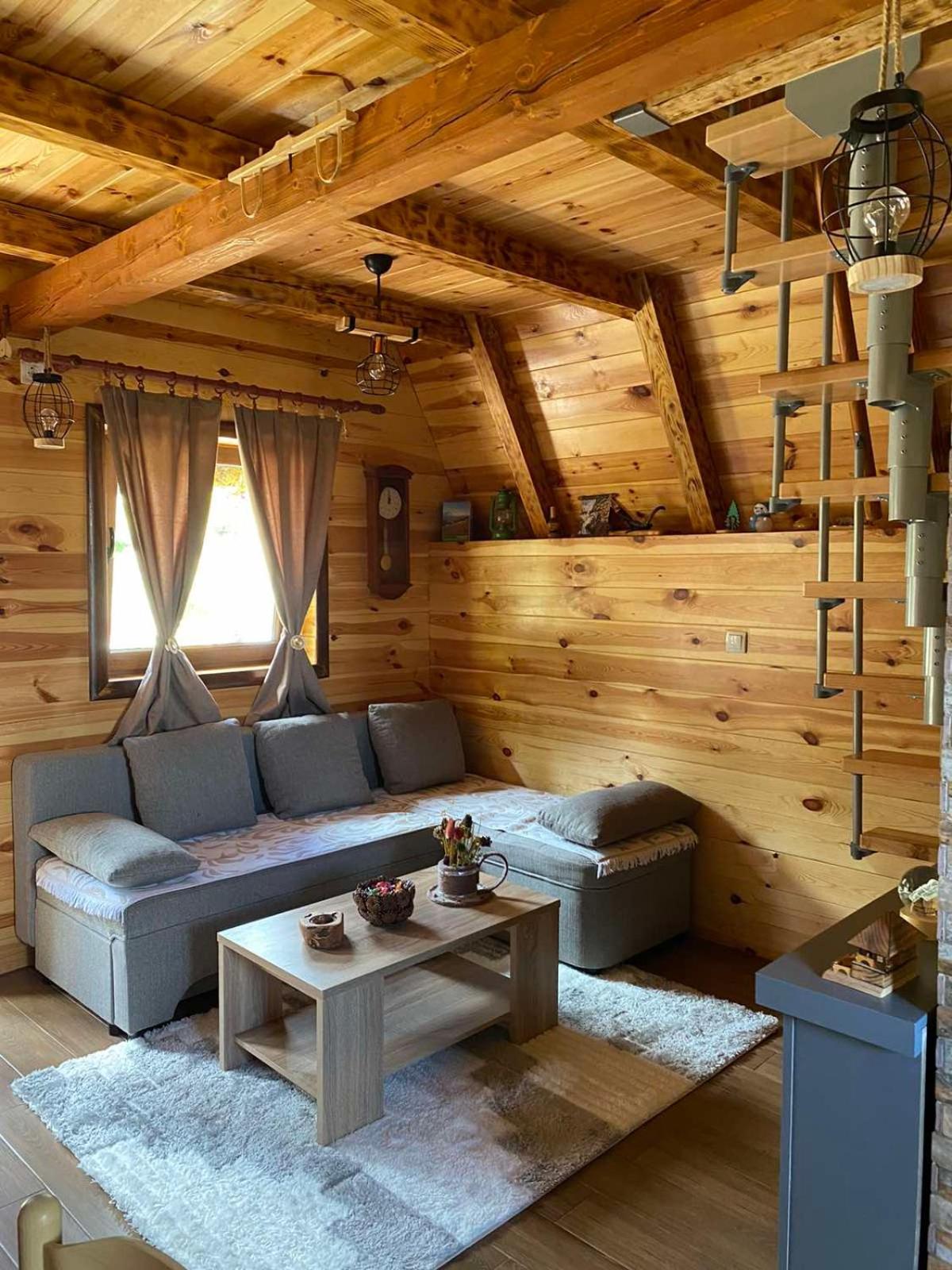 Žabljak Mountain House Drveni Rajヴィラ エクステリア 写真